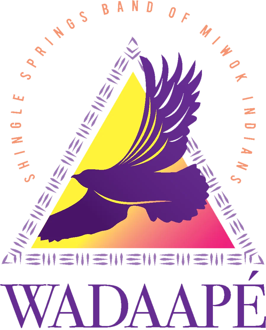 Wadaape Logo Trans